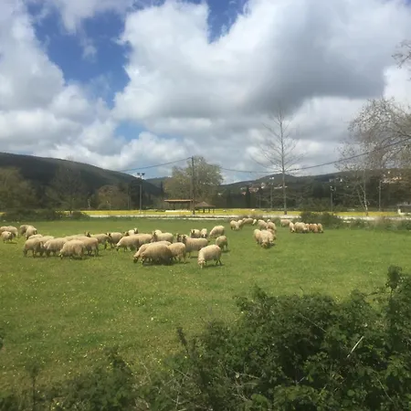 Robola Retreat 度假居